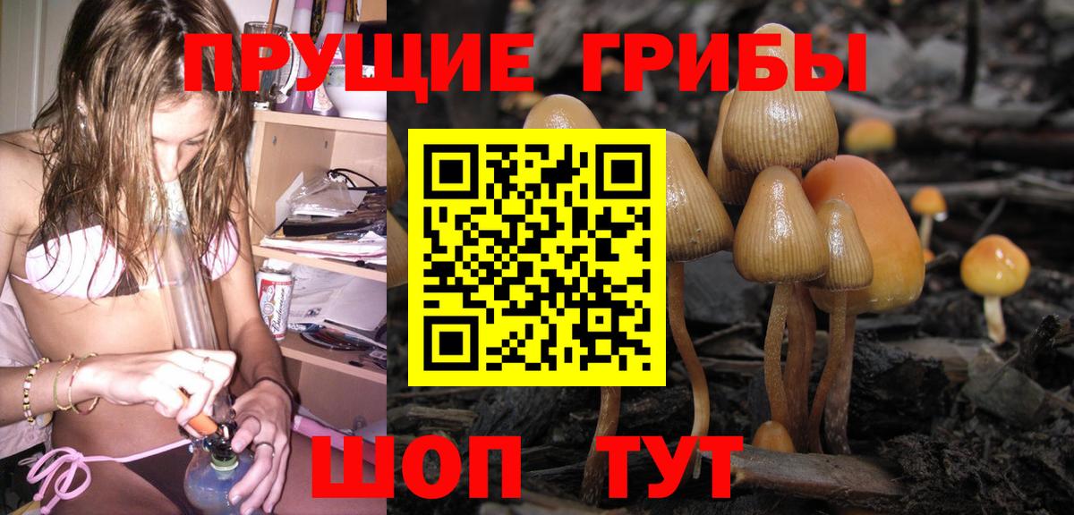 Старая Купавна  Галлюциногенные грибы Cubensis  Псилоцибиновые грибы Magic Shrooms  Вход с VPN 