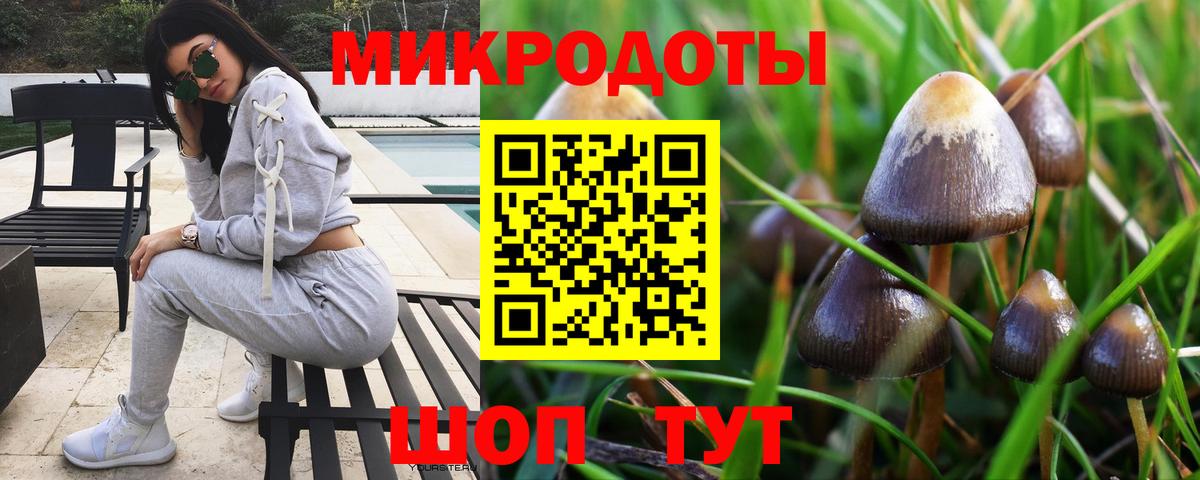 Псилоцибиновые грибы мицелий Старая Купавна